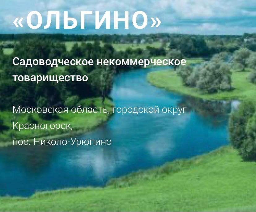 СНТ Ольгино